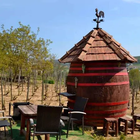 In - Balaton 39945 *